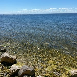 Meet your Posher, Brigid